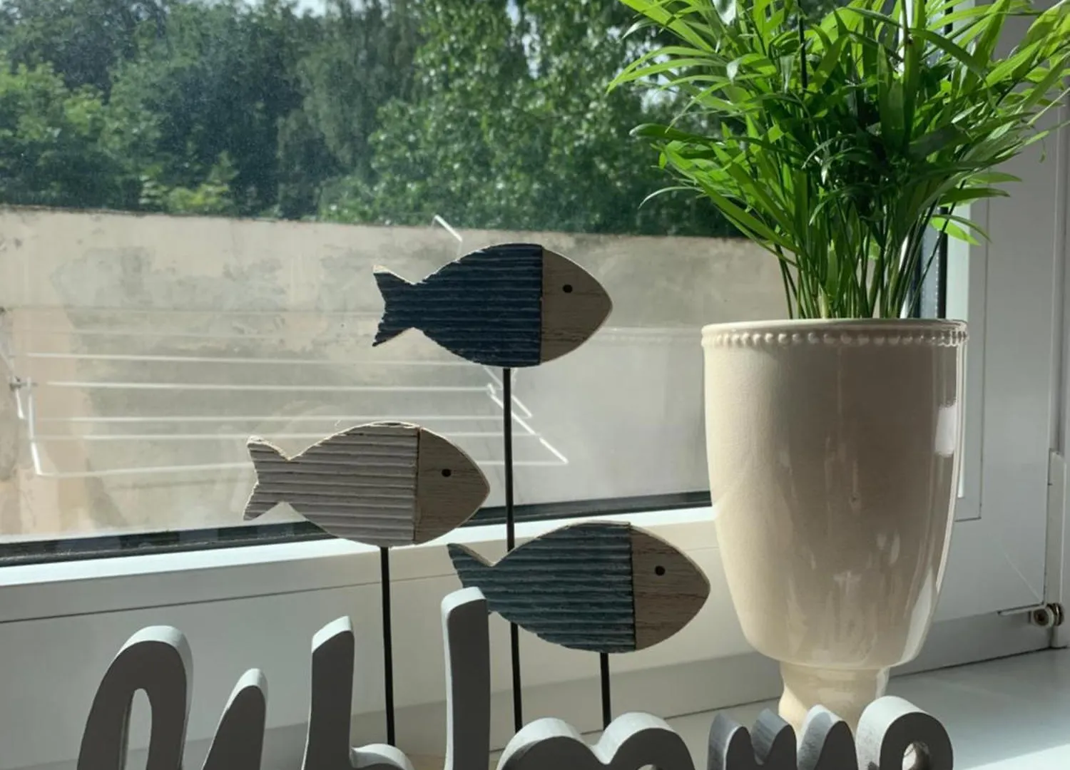 Apartament K29 location